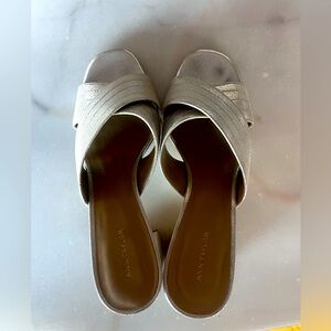 And Taylor metallic silver slides.